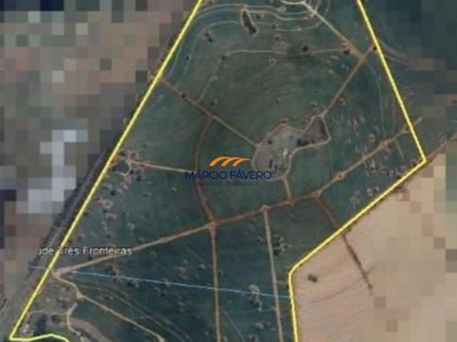Sítio e chácara venda em Santa Fé do Sul