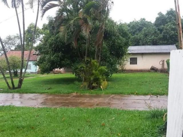 Sítio e chácara venda em Região Imediata de Santa Fé do Sul, Santa Fé do Sul