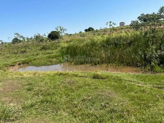 Fazenda venda em Região Imediata de Santa Fé do Sul, Santa Fé do Sul
