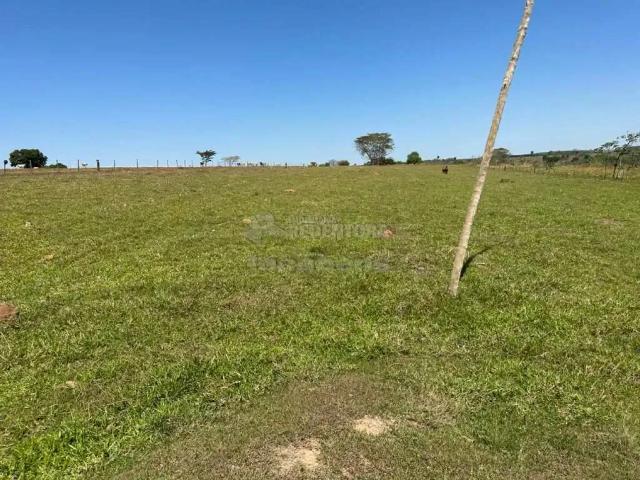 Fazenda venda em Região Imediata de Santa Fé do Sul, Santa Fé do Sul