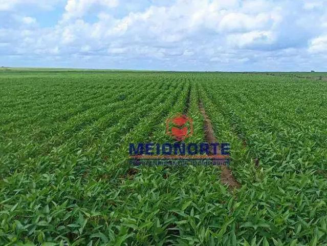 Fazenda venda em Santa Filomena, Região Nordeste