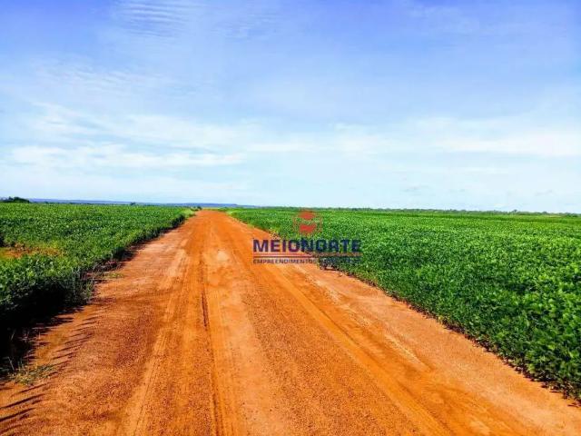 Fazenda venda em Santa Filomena, Região Nordeste