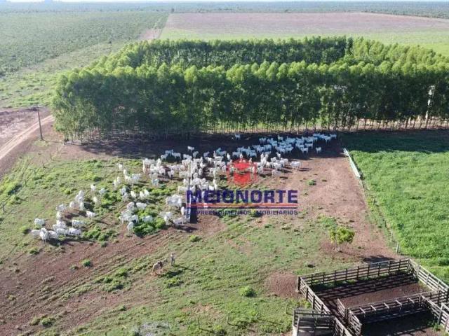 Fazenda venda em Santa Filomena, Região Nordeste