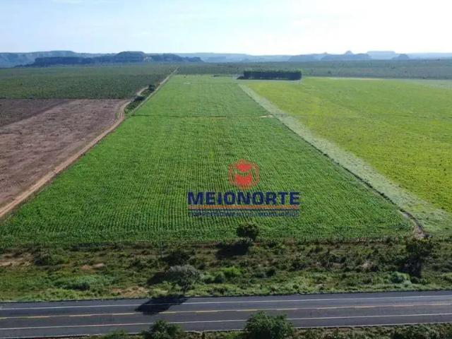 Fazenda venda em Santa Filomena, Região Nordeste