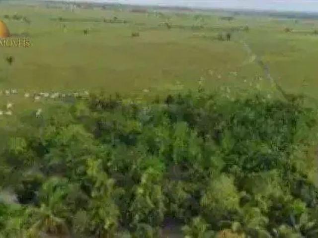 Fazenda venda em Região Geográfica Imediata de Santa Inês, Pindaré Mirim