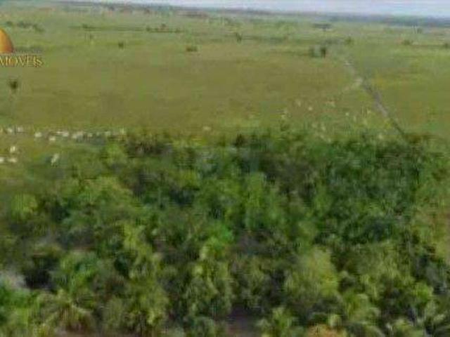 Fazenda venda em Santa Filomena, Santa Inês