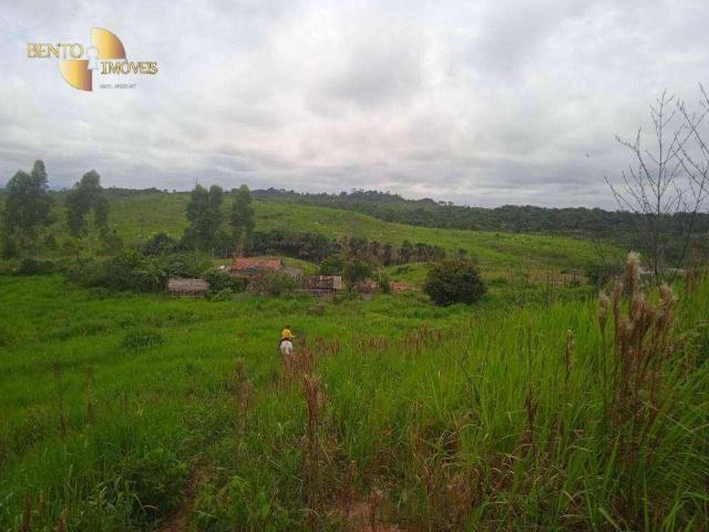 Fazenda venda em Santa Filomena, Santa Inês