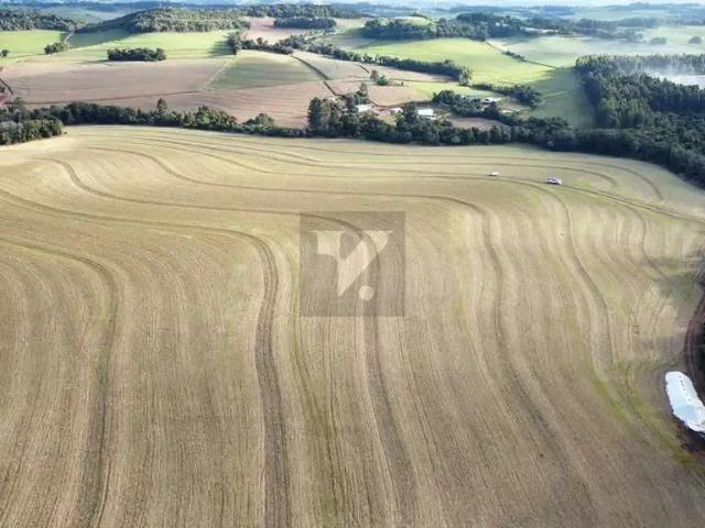 Fazenda venda em Região Geográfica Imediata de Francisco Beltrão, Santa Izabel do Oeste
