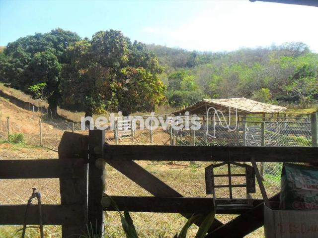 Fazenda venda em Santa Luzia, Região Geográfica Intermediária de Belo Horizonte