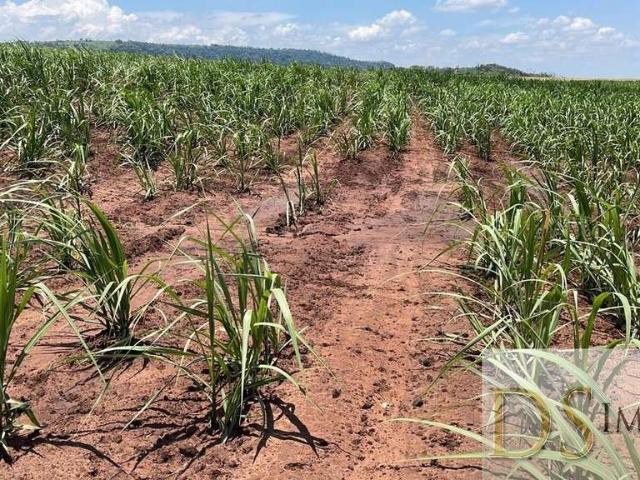 Fazenda venda em Região Imediata de Piracicaba, Região Metropolitana de Piracicaba