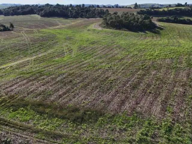 Fazenda venda em Região Geográfica Imediata de Pitanga, Santa Maria do Oeste