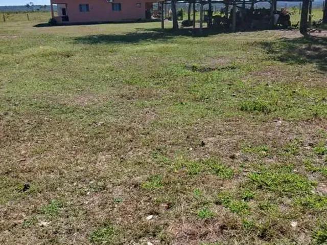 Fazenda venda em Região Geográfica Imediata de Guaraí, Santa Maria do Tocantins