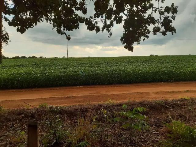 Fazenda venda em Região Geográfica Imediata de Guaraí, Santa Maria do Tocantins