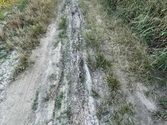 Fazenda venda em Região Geográfica Imediata de Guaraí, Santa Maria do Tocantins