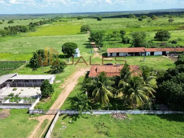 Fazenda venda em Colméia, Região Nordeste