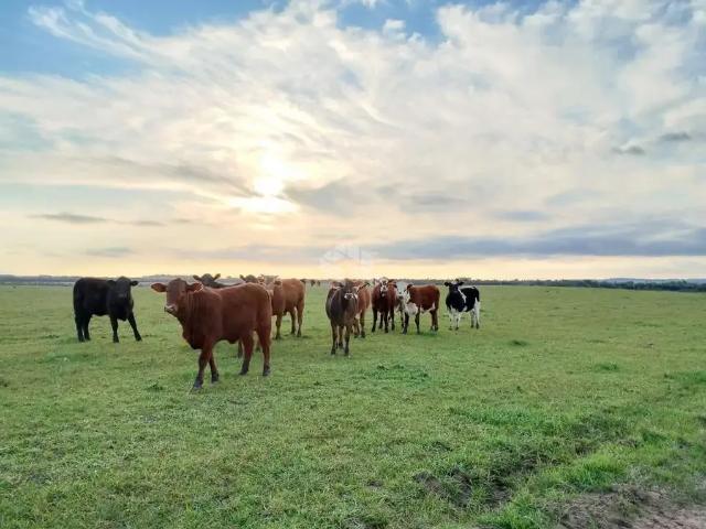 Fazenda venda em Região Geográfica Imediata de Santa Maria, Santa Maria