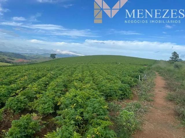 Fazenda venda em Região Geográfica Imediata de Poços de Caldas, Santa Rita de Caldas