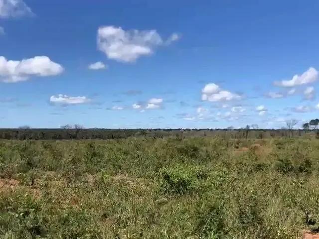 Fazenda venda em Região Geográfica Imediata de Barreiras, Santa Rita de Cássia