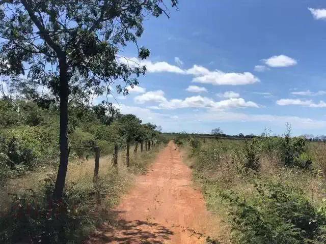 Fazenda venda em Região Geográfica Imediata de Barreiras, Santa Rita de Cássia