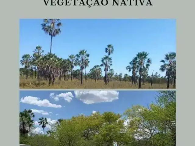 Fazenda venda em Região Geográfica Imediata de Barreiras, Santa Rita de Cássia