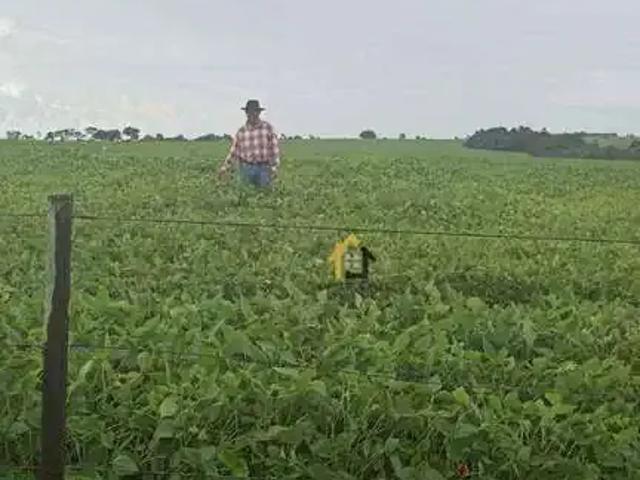 Fazenda venda em Região Geográfica Imediata de Jataí-Mineiros, Santa Rita do Araguaia