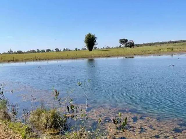Fazenda venda em Região Geográfica Imediata de Três Lagoas, Santa Rita do Pardo