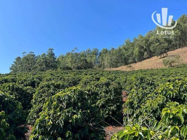 Fazenda venda em Região Geográfica Imediata de Pouso Alegre, Santa Rita do Sapucaí