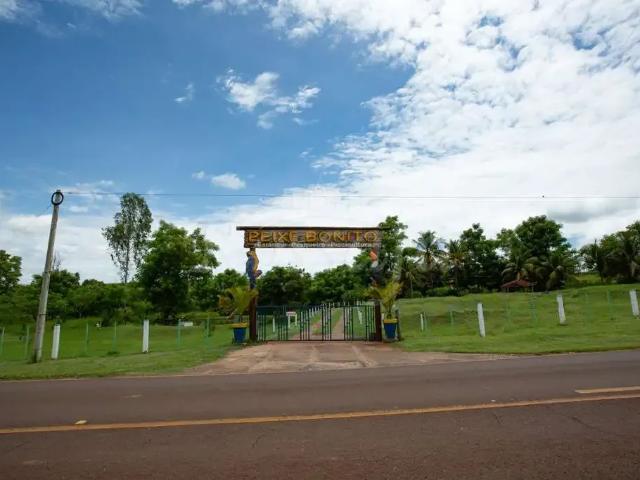 Fazenda venda em Região Imediata de Santa Fé do Sul, Santa Clara d'Oeste