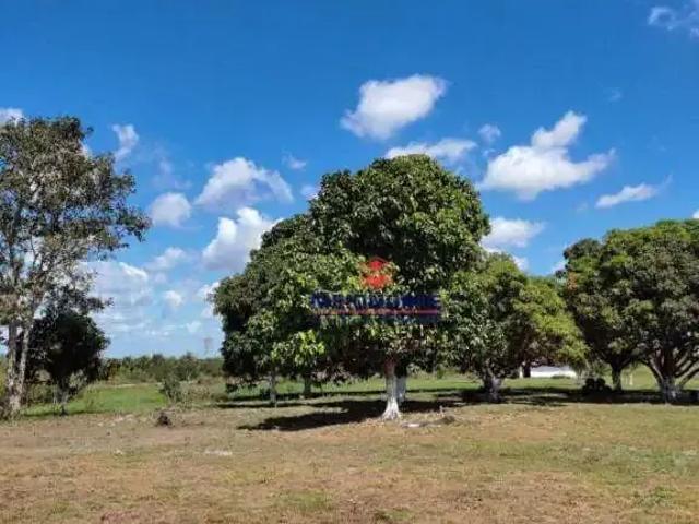 Fazenda venda em Região Geográfica Imediata de São Luís, Santa Rita