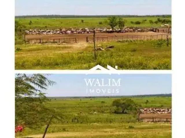 Fazenda venda em Região Geográfica Imediata de Foz do Iguaçu, Santa Terezinha de Itaipu