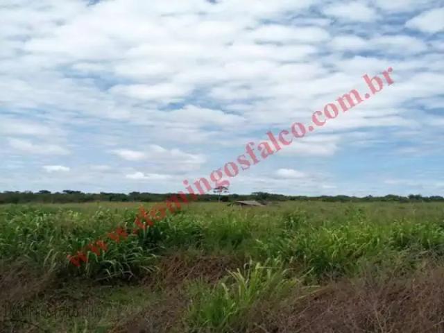 Fazenda venda em Região Geográfica Imediata de Confresa - Vila Rica, Santa Terezinha