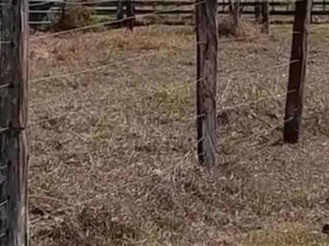 Fazenda venda em Região Geográfica Imediata de Ituiutaba, Santa Vitória