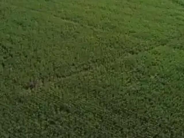 Fazenda venda em Região Geográfica Imediata de Ituiutaba, Santa Vitória