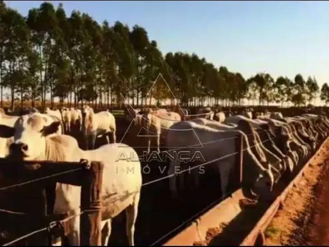 Fazenda venda em Região Geográfica Imediata de Ituiutaba, Santa Vitória