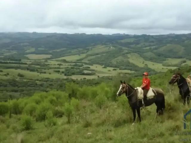 Fazenda venda em Região Geográfica Imediata de São Gabriel - Caçapava do Sul, Santana da Boa Vista