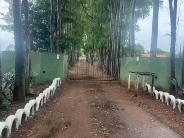 Sítio e chácara venda em Santana de Patos, Patos de Minas
