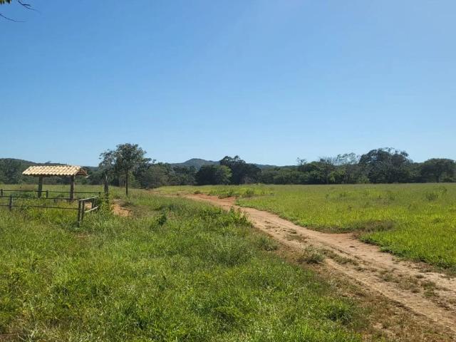 Fazenda venda em Santana de Pirapama, Região Geográfica Intermediária de Belo Horizonte