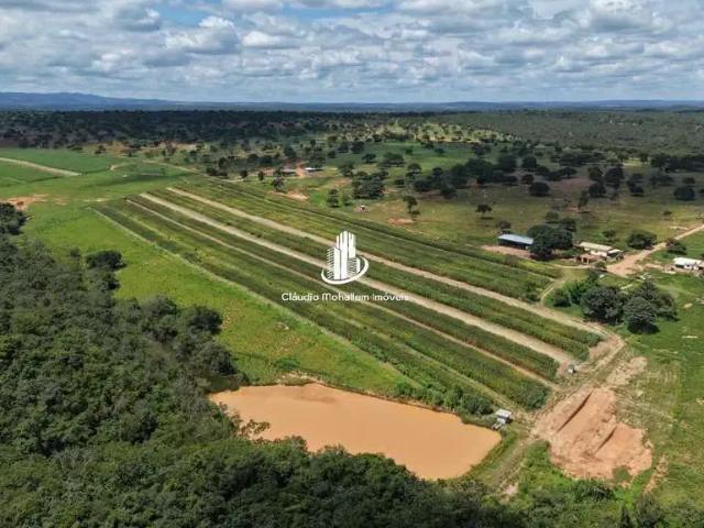 Fazenda venda em Região Geográfica Imediata de Sete Lagoas, Santana de Pirapama