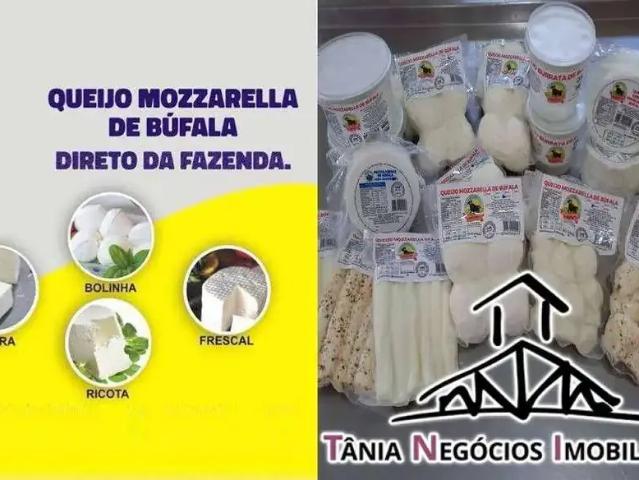 Fazenda venda em Região Geográfica Imediata de Santo Antônio da Platina, Santana do Itararé