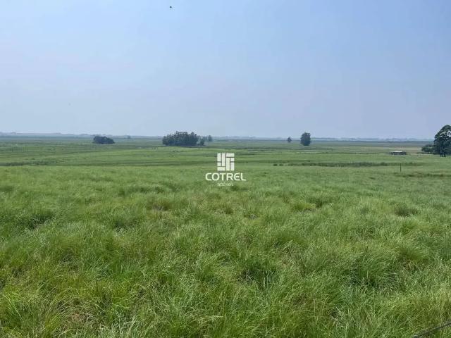 Fazenda venda em Região Geográfica Imediata de Santana do Livramento, Santana do Livramento