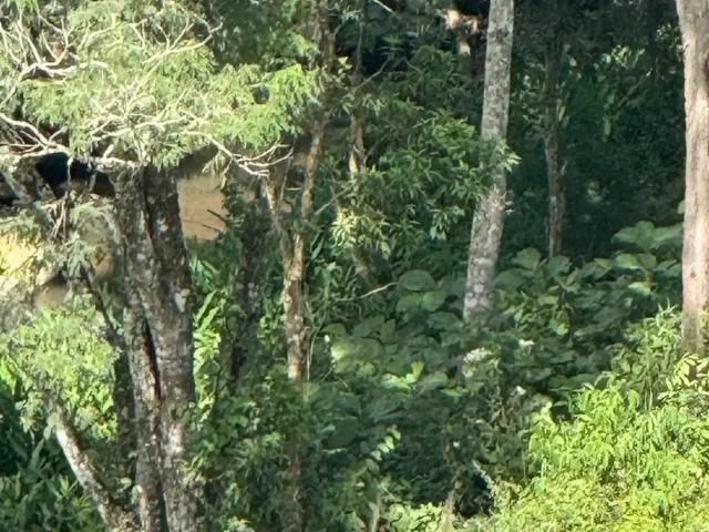 Fazenda venda em Santana dos Montes, Região Geográfica Intermediária de Juiz de Fora