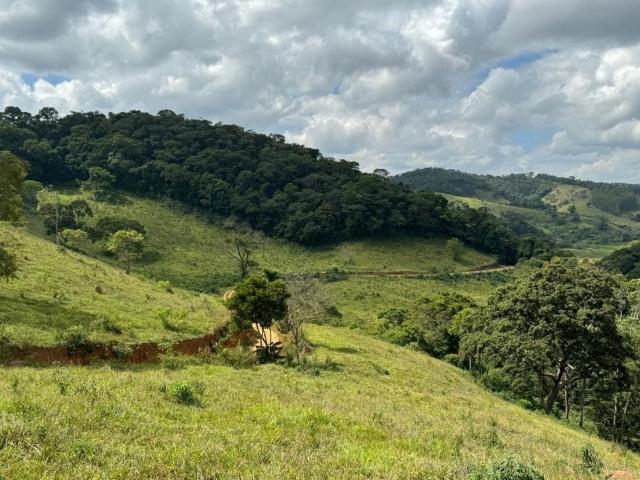 Fazenda venda em Região Geográfica Imediata de Conselheiro Lafaiete, Santana dos Montes