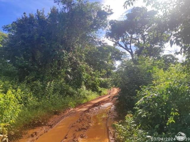 Sítio e chácara venda em Região Geográfica Imediata de Patos de Minas, Paracatu