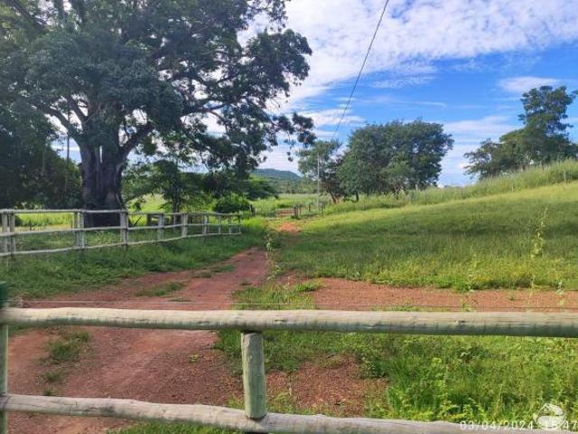 Sítio e chácara venda em Paracatu