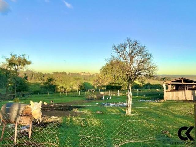 Sítio e chácara venda em Vila Santo Antão, Santa Maria