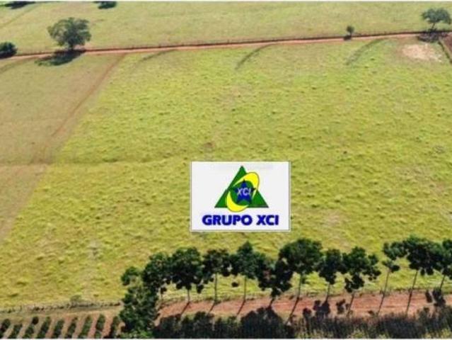 Sítio e chácara venda em Região Imediata de Ribeirão Preto, Região Metropolitana de Ribeirão Preto