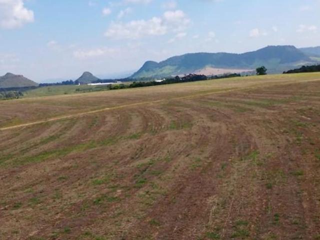 Sítio e chácara venda em Região Imediata de Ribeirão Preto, Região Metropolitana de Ribeirão Preto