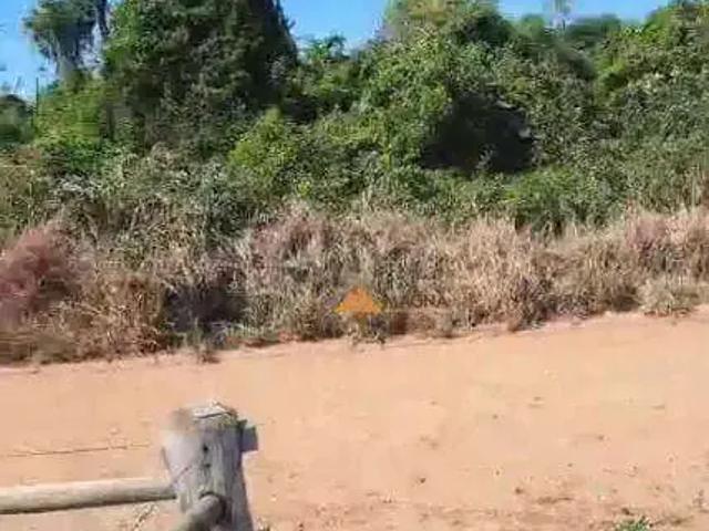 Fazenda venda em Região Imediata de Ribeirão Preto, Região Metropolitana de Ribeirão Preto