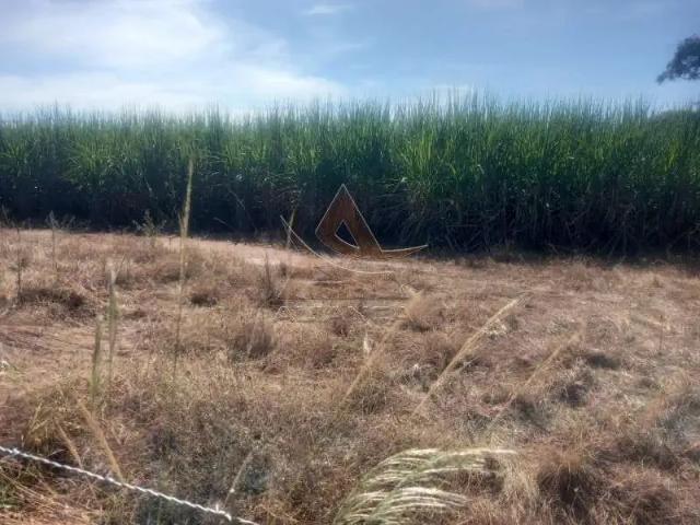 Fazenda venda em Região Imediata de Ribeirão Preto, Região Metropolitana de Ribeirão Preto