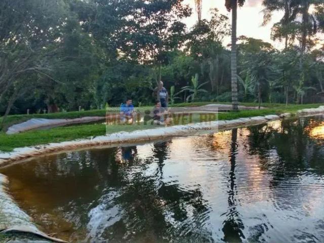 Fazenda venda em Região Imediata de Ribeirão Preto, Região Metropolitana de Ribeirão Preto